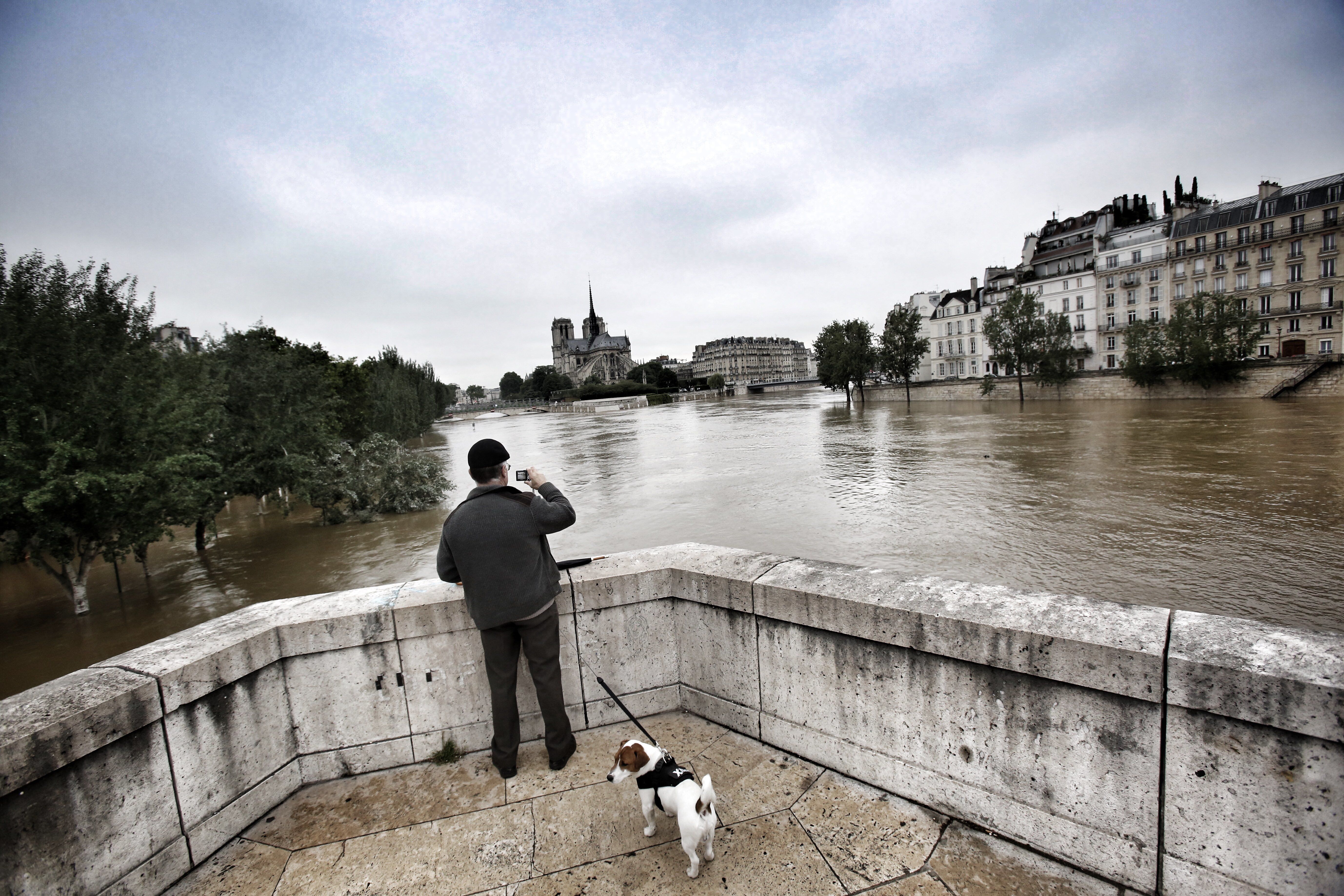 Siempre que llovió paró! – Paris Novedades